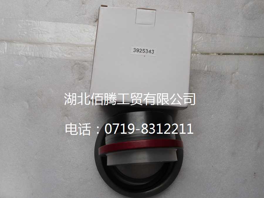3925343.