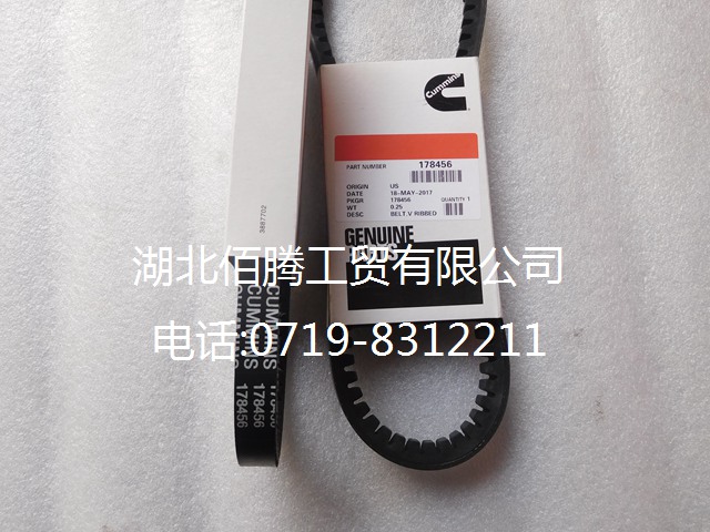 178456 101638