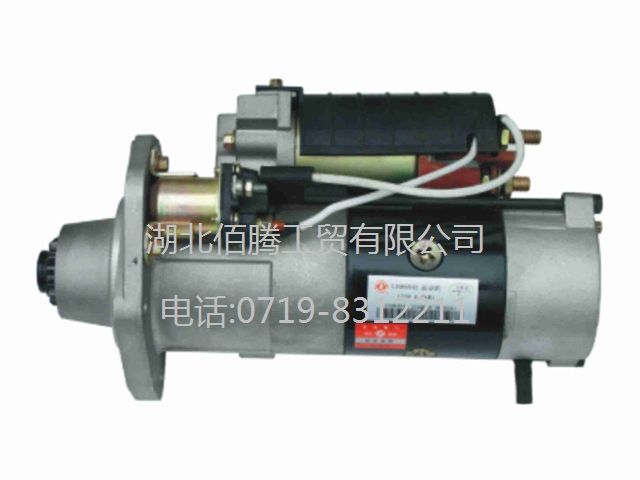 4946256 QDJ2819