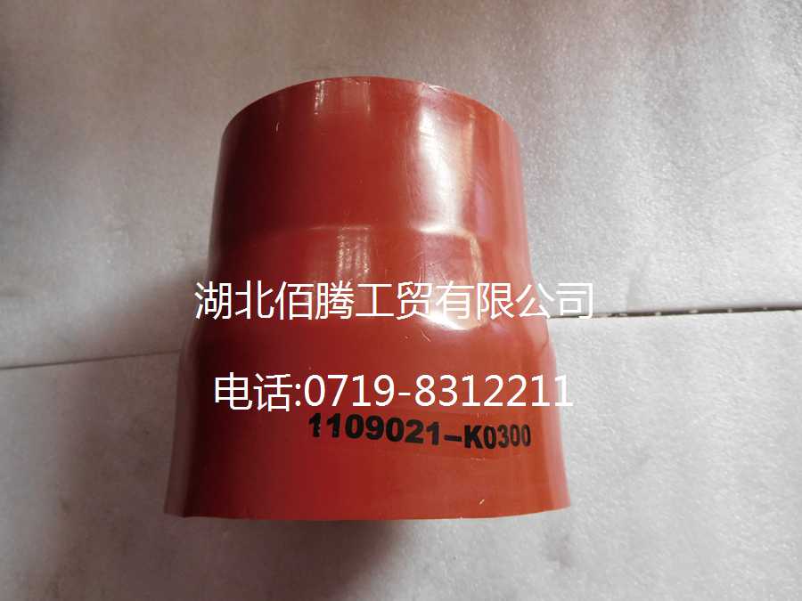 1109021-K0300