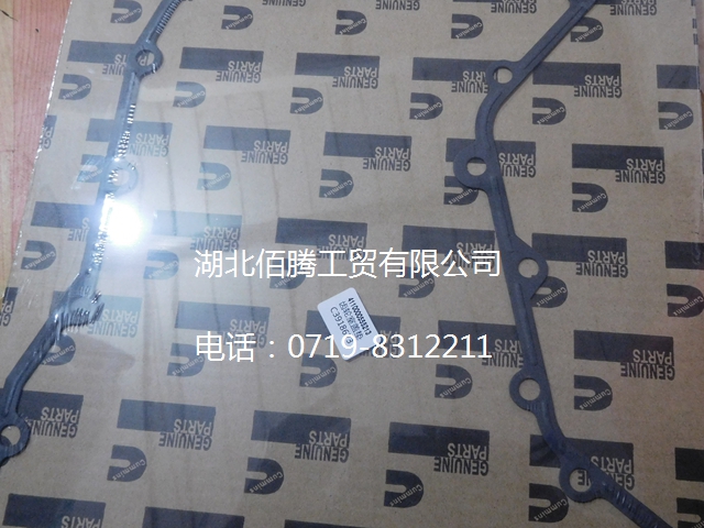 C3918673 齿轮室盖垫.jpg