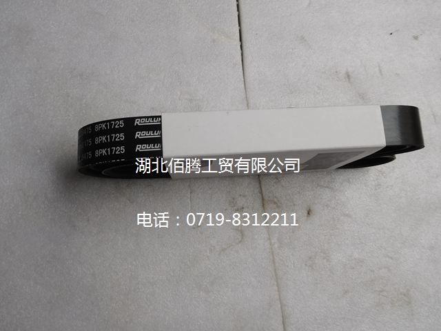 3288475 8PK1725