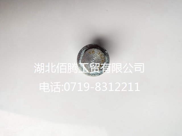 3924147/