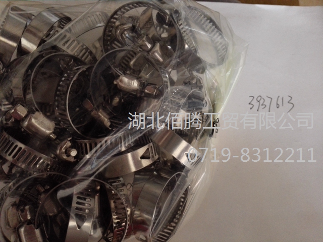 3937613 3918163 3909408、