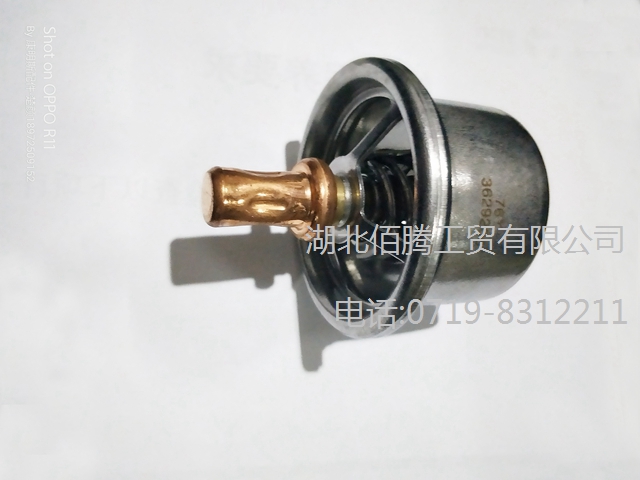 3629205 。