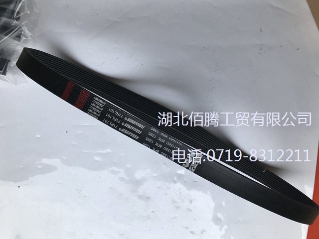 3911560。