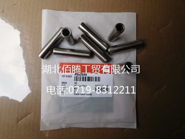  4982846，