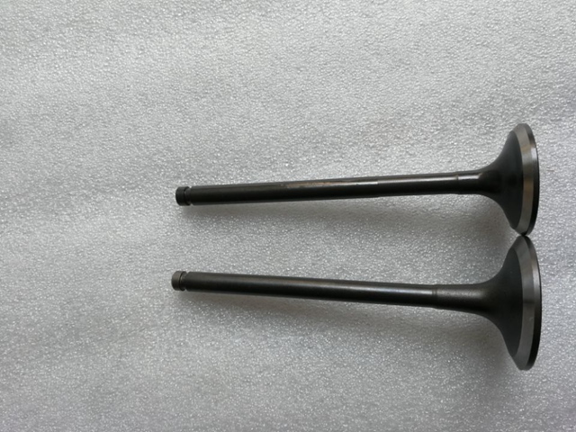 康明斯ISF2.8发动机配件 排气门 5308265 (3).jpg