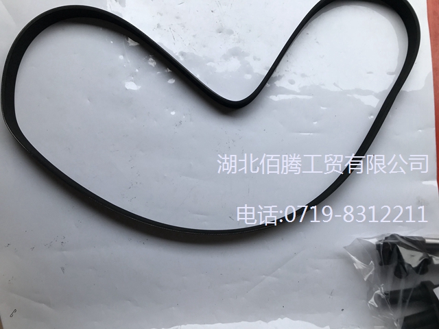 3289235 8PK1755。