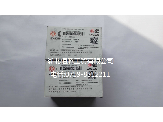 康明斯6BT活塞环组3802421