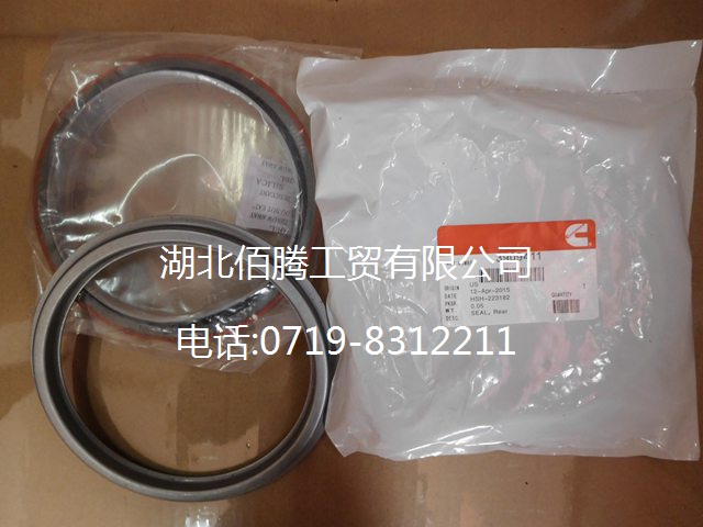 康明斯B C 系列曲轴后油封组件3909411