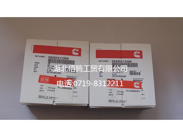 康明斯B3.3活塞环C6205312300