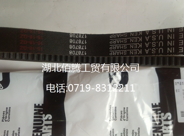 康明斯NT855风扇皮带178708