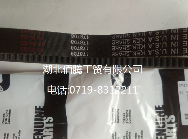 康明斯NT855风扇皮带178708