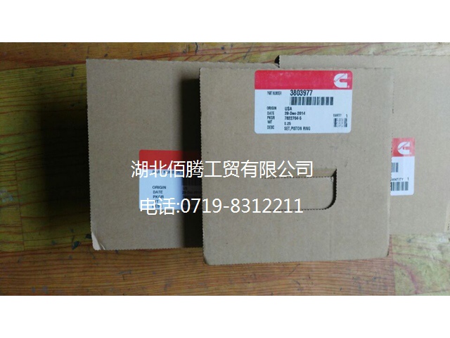 康明斯M11系列活塞环3803977