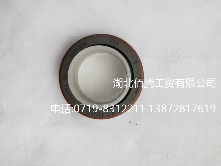 柴油发动机配件QSK19水泵油封3065830 