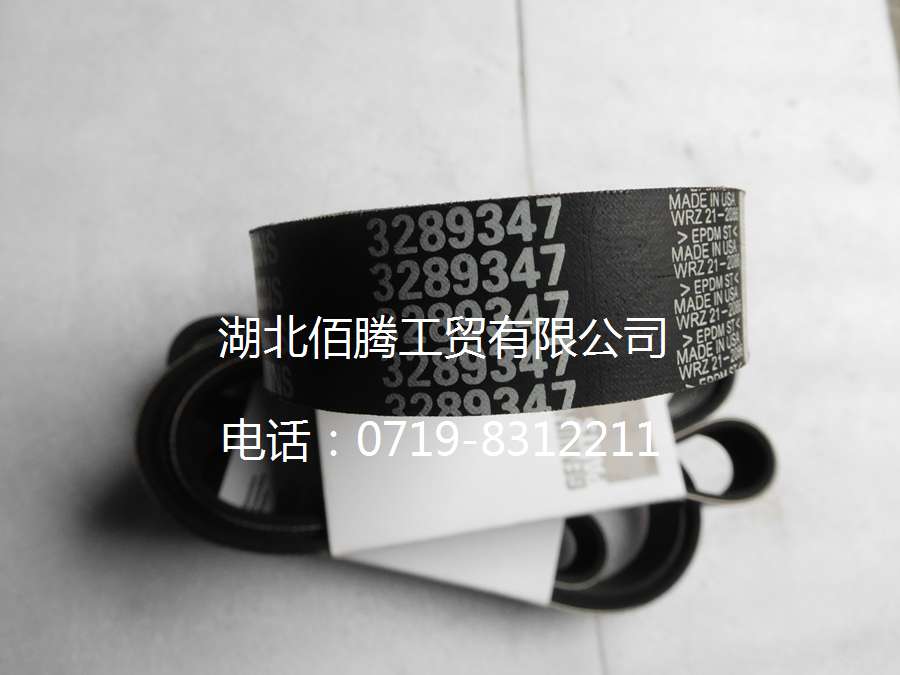 风扇皮带3289347