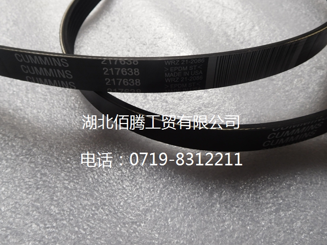 217638NT855水泵皮带