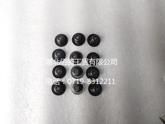 3948578 气阀杆油封