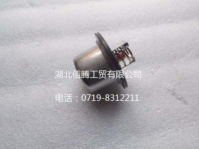 4318947 发动机节温器