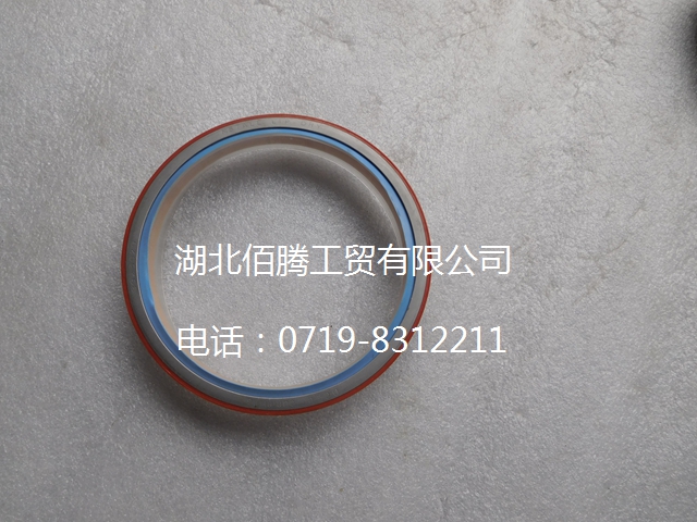 A3925529 曲轴后油封-2.jpg