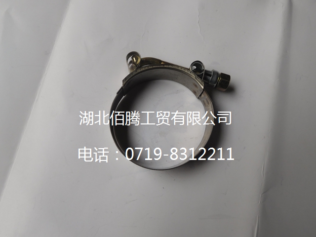 C3415544 T型螺栓卡箍-2.jpg