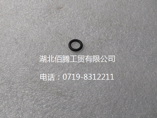 C3818885 密封圈