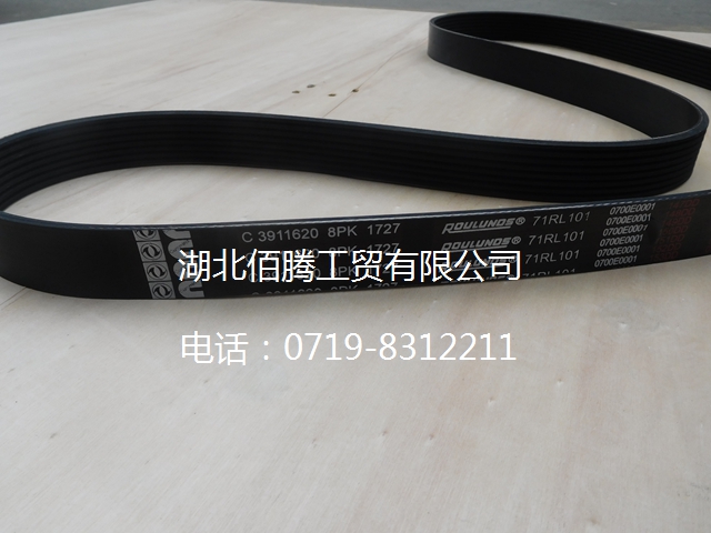 C3911620 多契带