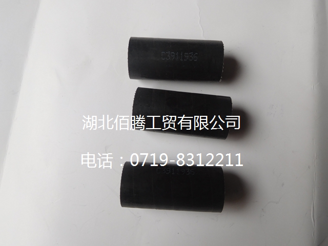 C3911936 直软管-2.jpg