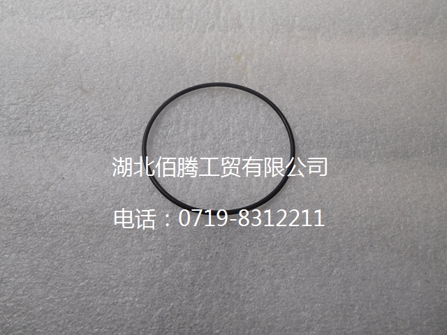 C3913845 O形圈-2.jpg