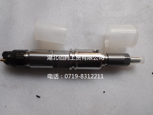 D5010222526 东风雷诺DCI11喷油器博世共轨喷油器