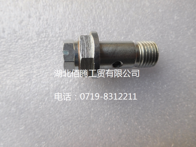 发动机燃油泵溢流阀 05B89-06