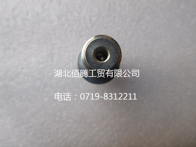 发动机燃油泵溢流阀 05B89-06-2.jpg