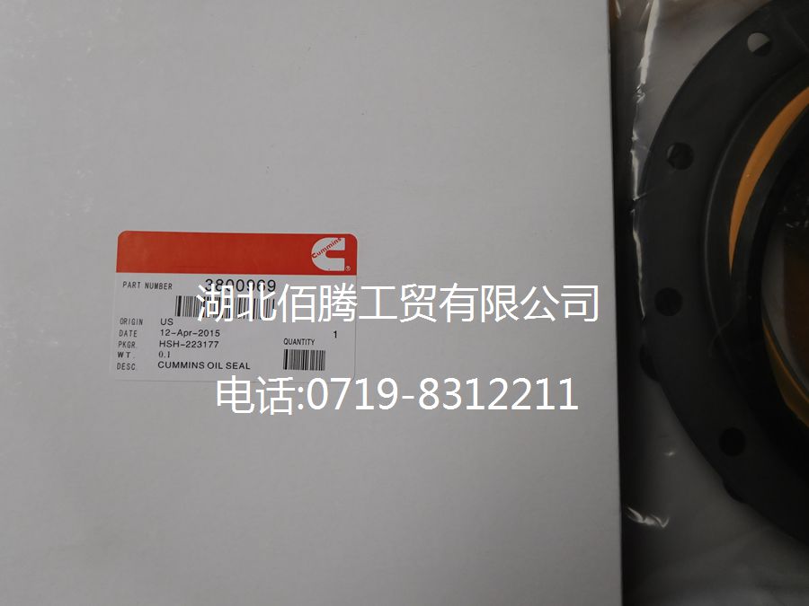 康明斯M11曲轴后油封3800969-2.jpg