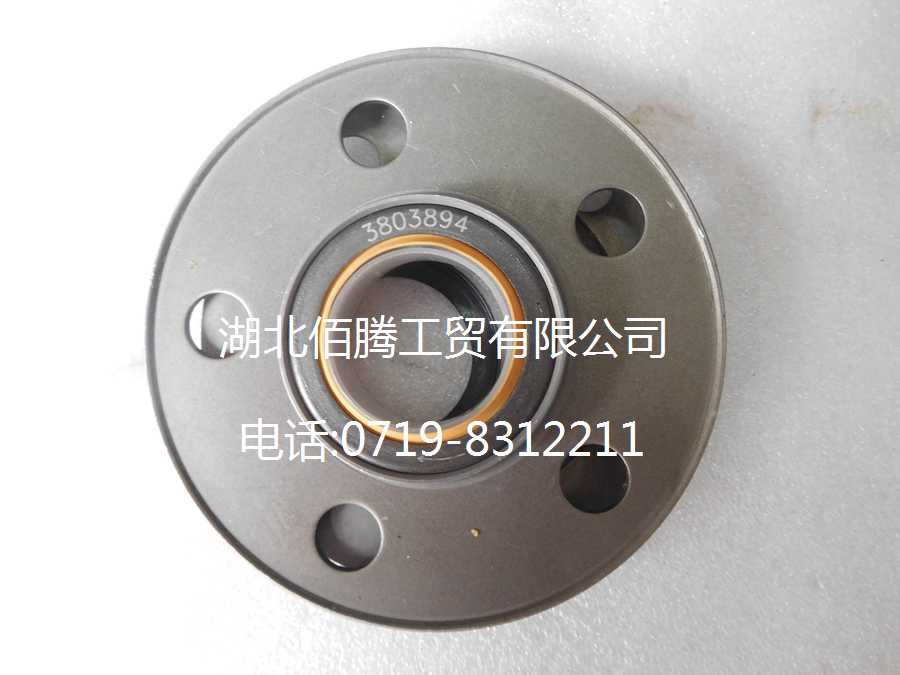 M11系列发动机水泵油封3803894 3161772