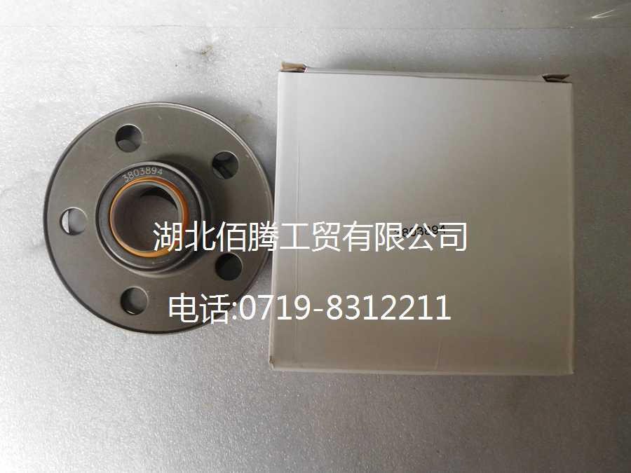 康明斯M11系列发动机水泵油封3803894 3161772-2.jpg