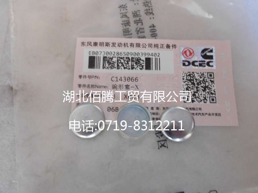 康明斯发动机系列碗形塞143066-2.jpg