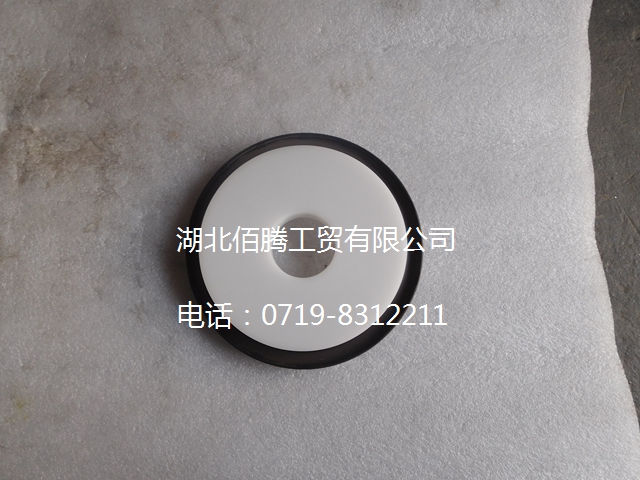 雷诺曲轴后油封 D5010295831