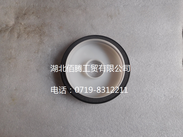 雷诺曲轴后油封 D5010295831-1.jpg