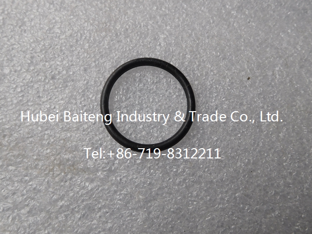 145508 O-Ring Seal-2.jpg