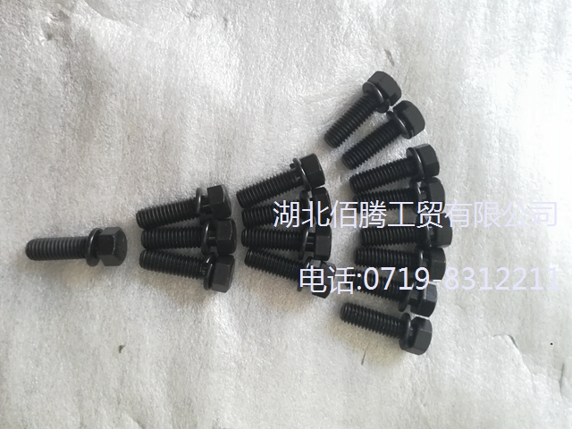 重康CCEC工程机械船舶发电机组发动机配件带垫圈螺栓3010596 (2).jpg