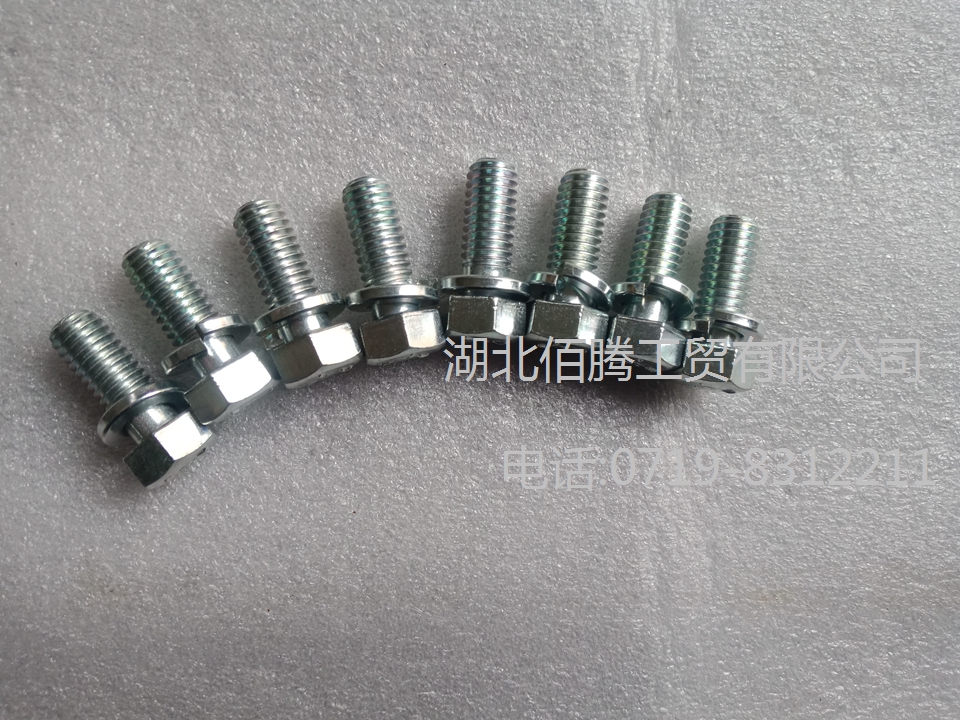 K19发动机带垫螺栓3010595