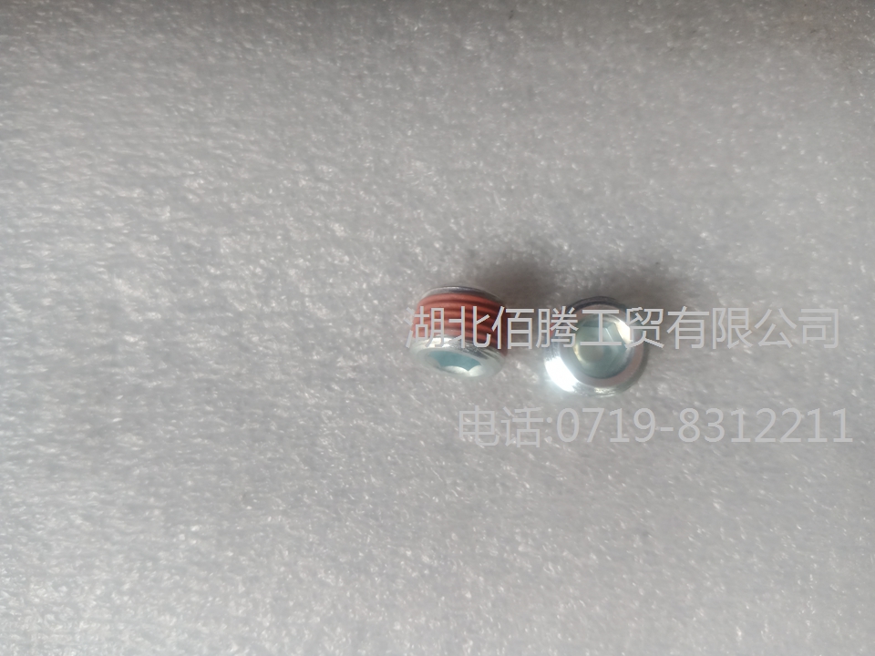 K19发动机配件管塞68606