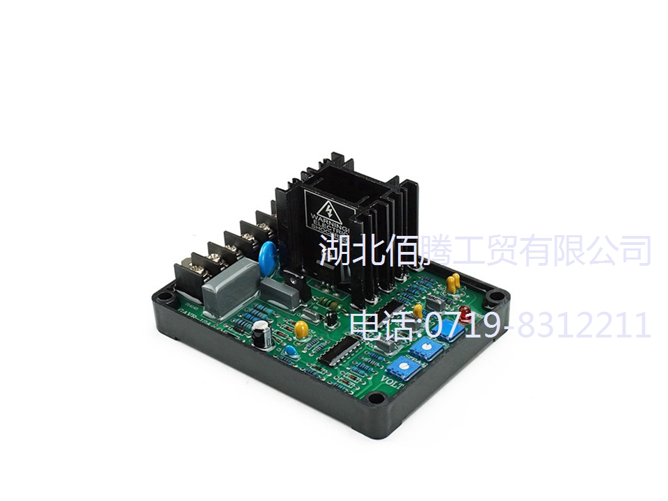 GAVR-12A自动电压调节器 AVR